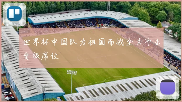 世界杯中国队为祖国而战全力冲击晋级席位