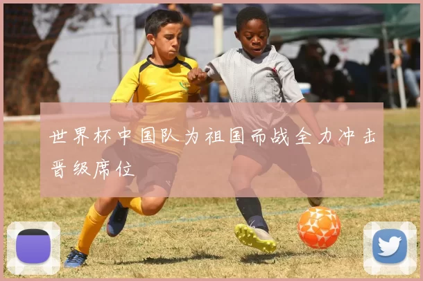 世界杯中国队为祖国而战全力冲击晋级席位