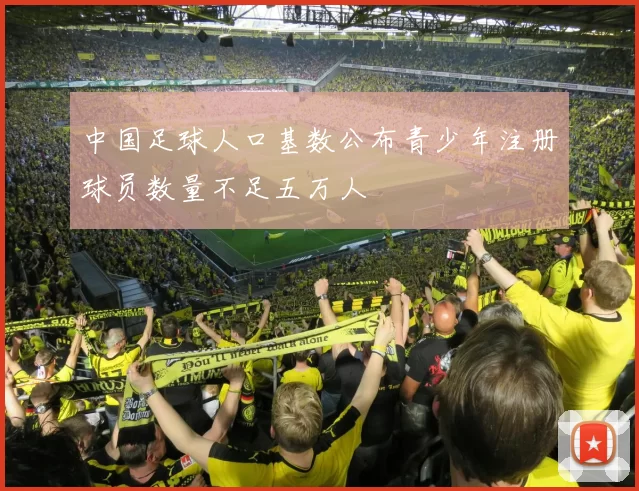 中国足球人口基数公布青少年注册球员数量不足五万人
